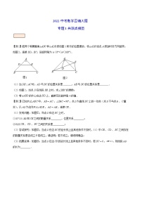 专题1共顶点模型-2022中考数学压轴大题（解析版）