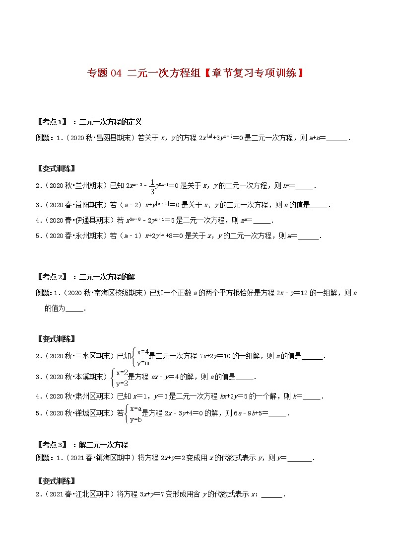 專題04 二元一次方程組【章節(jié)復習專項訓練】-2021-2022學年七年級數學下學期期末專項復習(人教版)(原卷版)第1頁