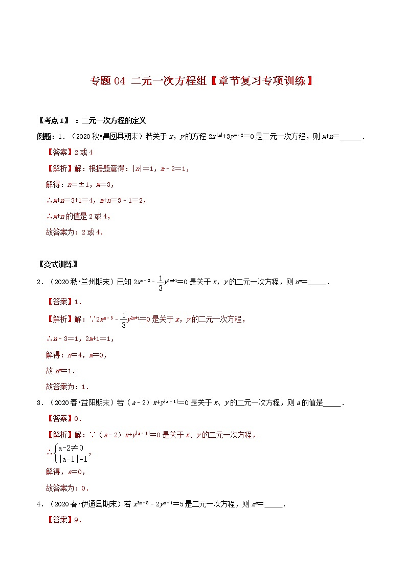 專題04 二元一次方程組【章節(jié)復習專項訓練】-2021-2022學年七年級數學下學期期末專項復習(人教版)(解析版)第1頁