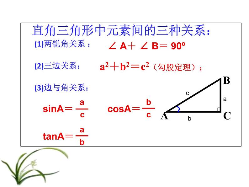 华东师大版数学九年级上册 24.4 解直角三角形(课件)第4页