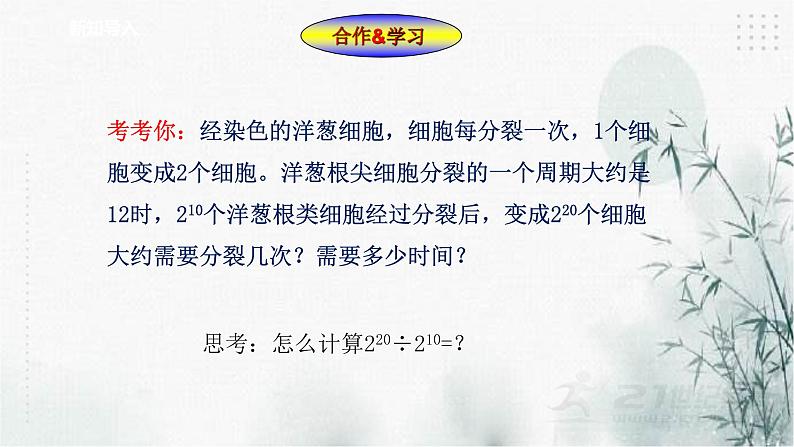浙教版七年级下数学3.6同底数幂的除法(1)课件第2页