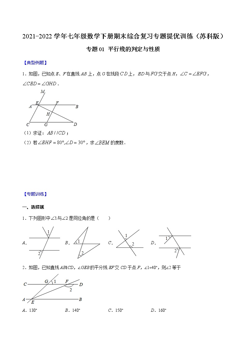 专题01 平行线的判定与性质-2021-2022学年七年级数学下册期末综合复习专题提优训练（苏科版）