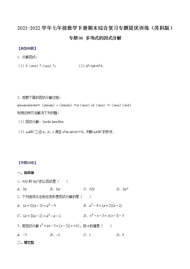 专题06 多项式的因式分解(原卷版)-2021-2022学年七年级数学下册期末综合复习专题提优训练(苏科版)第1页