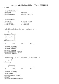 2020-2021年湖北省武汉市某校初一（下）3月月考数学试卷