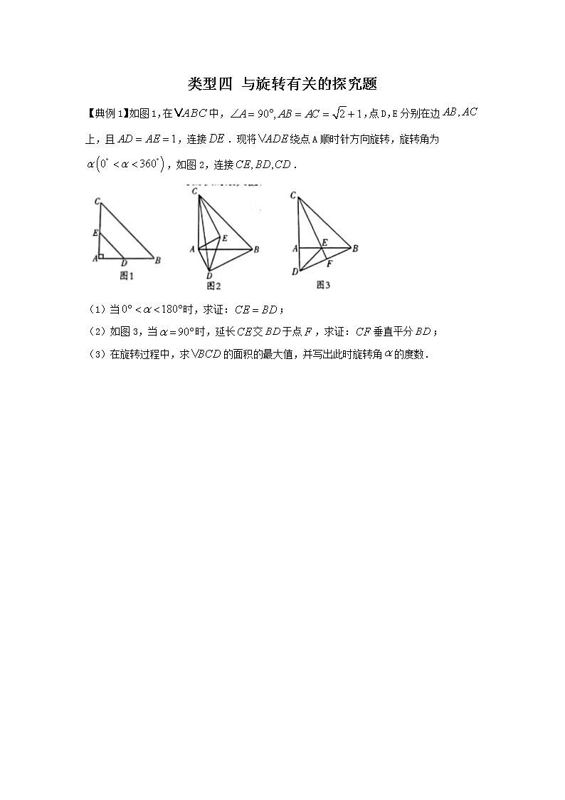 題型4與旋轉(zhuǎn)有關(guān)的探究題（學(xué)生版）第1頁