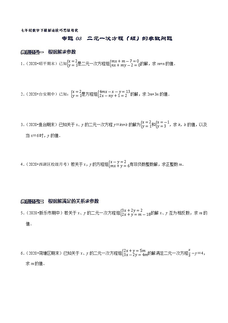 专题08 二元一次方程(组)的参数问题-2021-2022学年七年级数学下册解法技巧思维培优(人教版)01