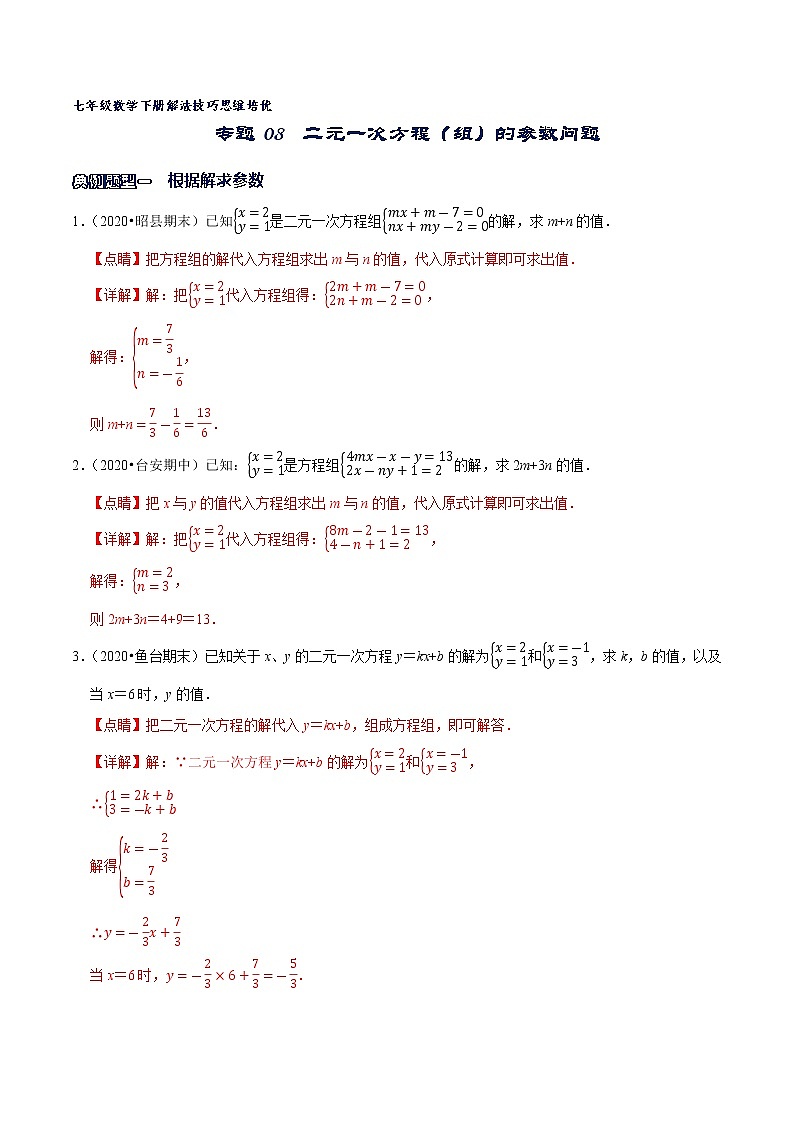 专题08 二元一次方程(组)的参数问题-2021-2022学年七年级数学下册解法技巧思维培优(人教版)01