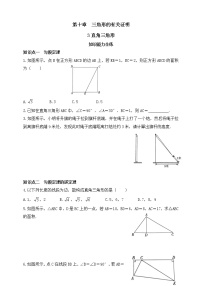 初中数学鲁教版 (五四制)七年级下册3 直角三角形达标测试