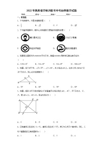 2022年陜西省學(xué)林大聯(lián)考中考自查數(shù)學(xué)試題(word版含答案)