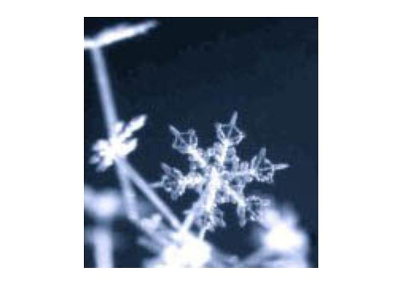 北师大版八年级数学下册 3.3 中心对称图形(课件)第4页