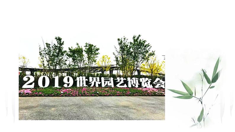 北师大版八年级数学下册 5.1 认识分式方程(课件)03