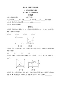 鲁教版 (五四制)八年级下册3 正方形的性质与判定练习题