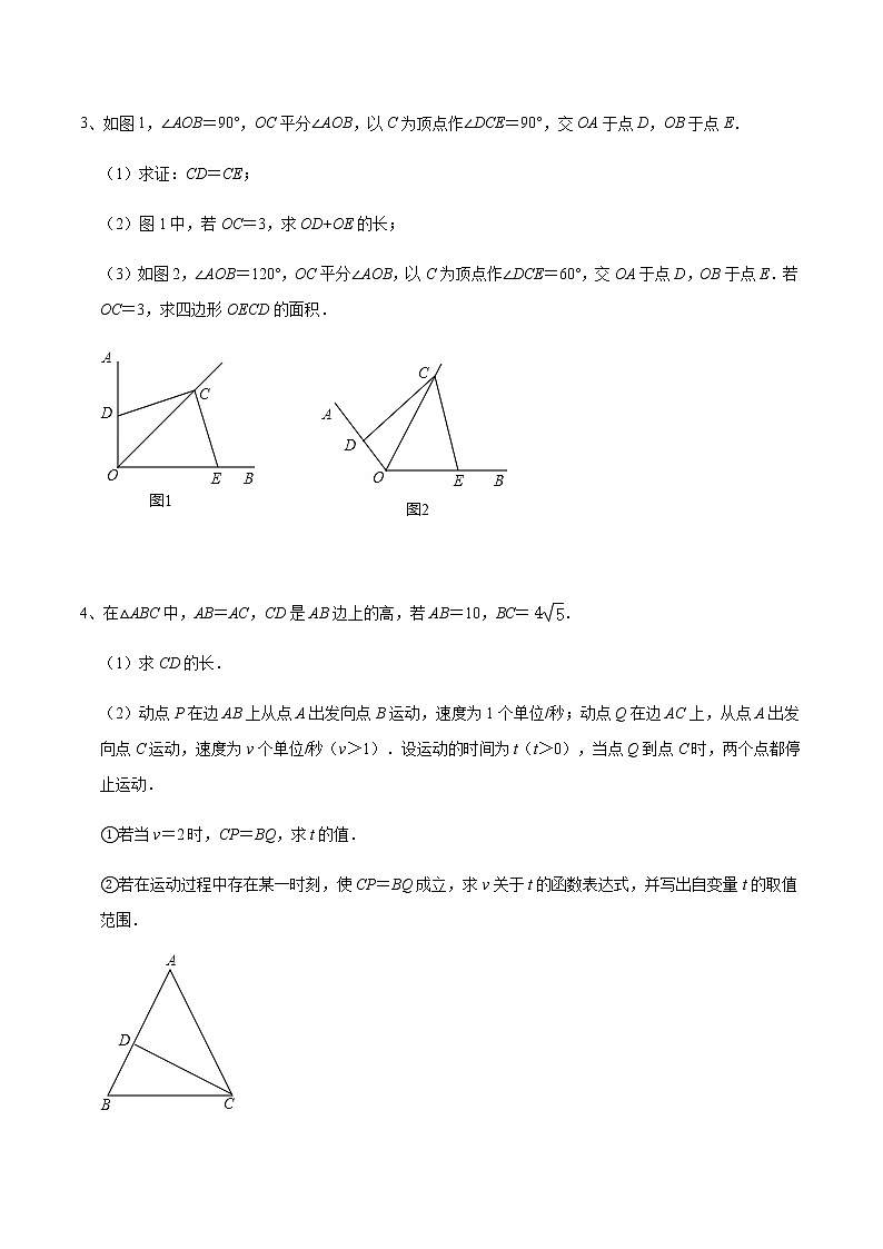 专题57 三角形中作辅助线造全等-2022年中考数学重难点专项突破(全国通用)02