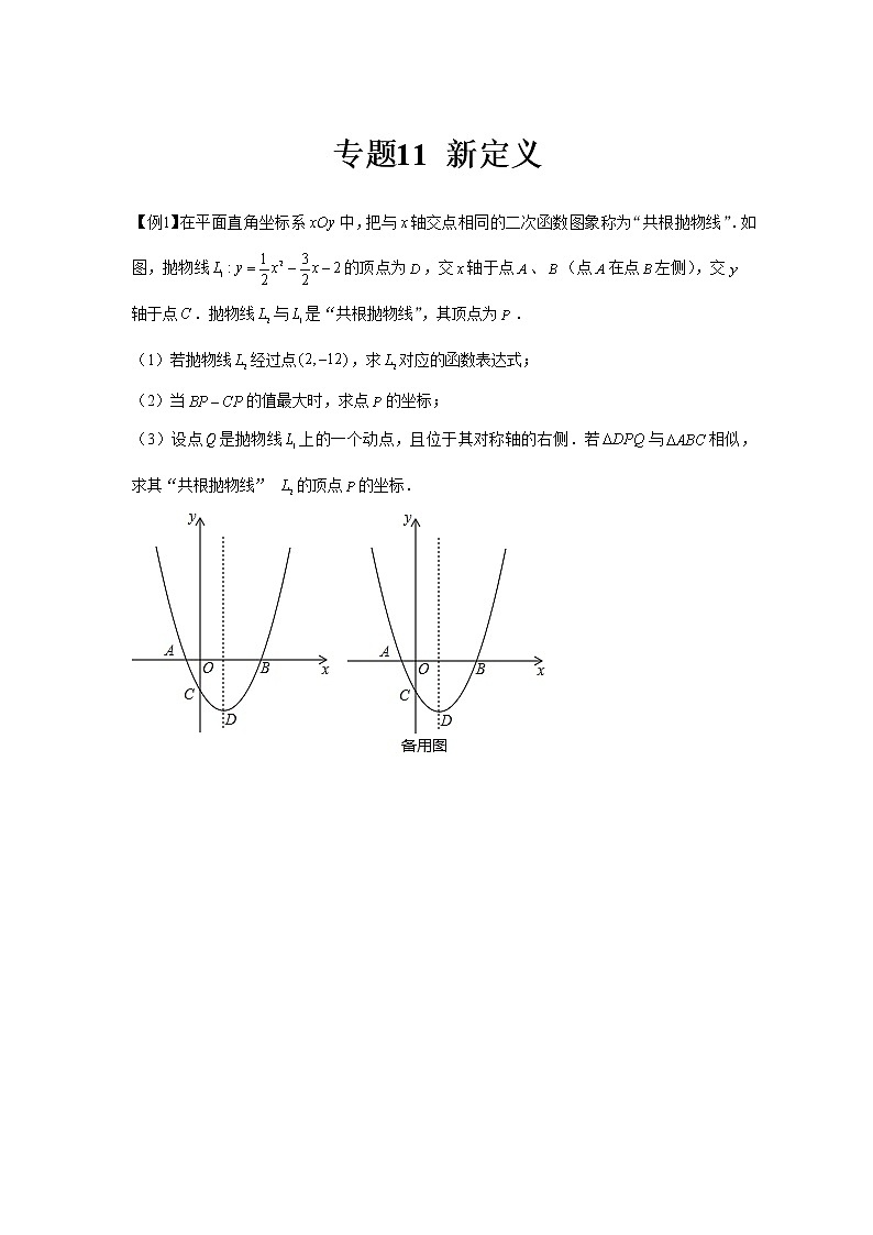 专题11 新定义(原卷版)第1页