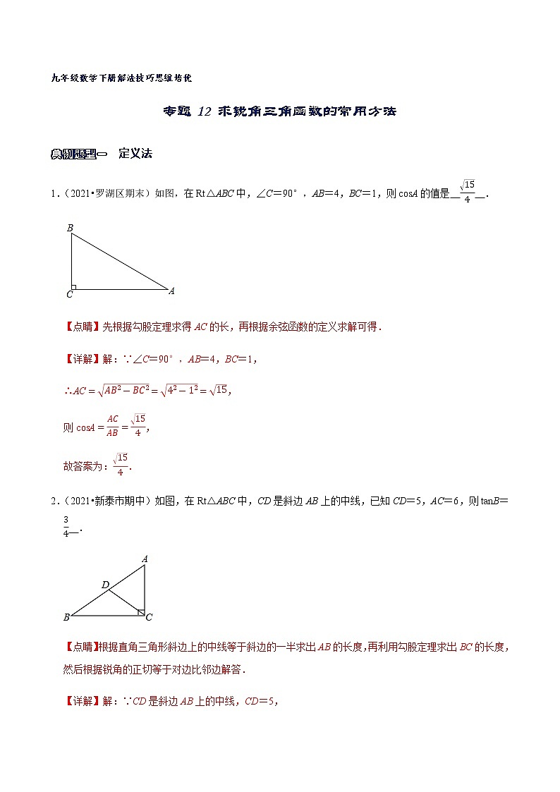 专题12 求锐角三角函数的常用方法(解析版)第1页