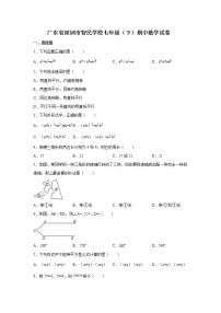 广东省深圳市智民学校七年级（下）期中数学试卷（解析版）