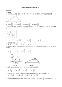 初中数学北师大版九年级下册第一章 直角三角形的边角关系1 锐角三角函数导学案