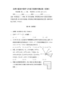 北师大版初中数学七年级下册期中测试卷（困难）（含答案解析）