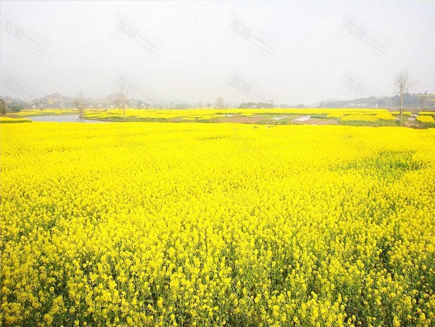 初中數(shù)學人教版七年級下冊代入消元法11課件PPT第4頁