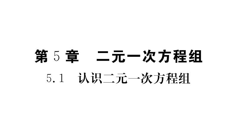 第5章 二元一次方程组课件PPT第2页