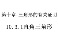 鲁教版（五四制）七年级下册数学 10.3直角三角形（1）课件