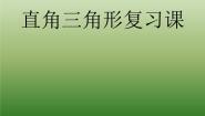 初中数学鲁教版 (五四制)七年级下册3 直角三角形复习ppt课件