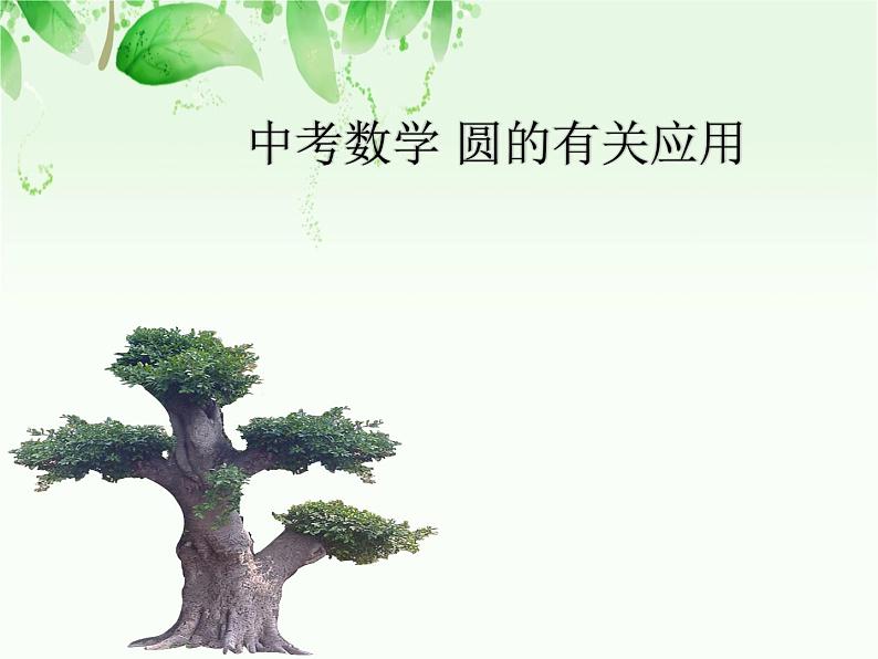 中考数学 圆的有关应用课件PPT第1页