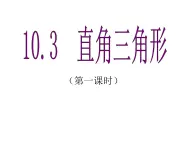 鲁教版（五四制）七年级下册数学 10.3直角三角形（1）课件PPT