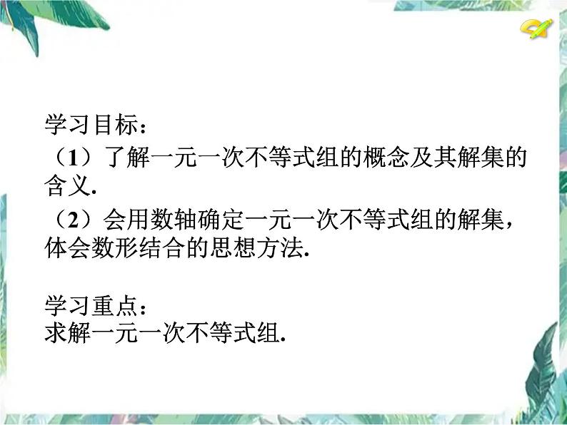 一元一次不等式组 示范课课件02