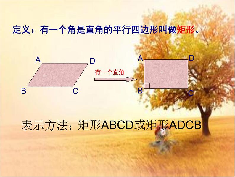 鲁教版(五四制)八年级下册数学 6.2.1矩形的性质 课件02