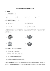 2022届山西省百校联考中考模拟数学试题解析版