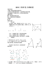 初中数学鲁教版 (五四制)八年级下册第九章  图形的相似综合与测试教案及反思