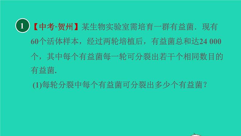 沪科版八年级数学下册第17章一元二次方程17.5一元二次方程的应用目标二传播问题习题课件第3页