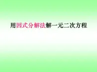 鲁教版（五四制）八年级下册数学 8.4用因式分解法解一元二次方程 课件