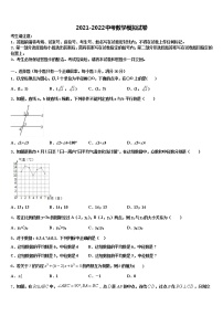2021-2022学年江苏省苏州市工业园区达标名校中考一模数学试题含解析