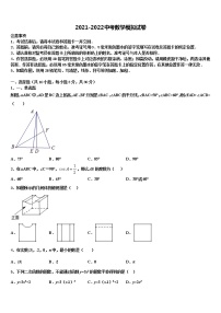 2022年广东省肇庆市名校中考数学对点突破模拟试卷含解析