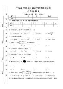 湖南省永州市宁远县2021-2022学年七年级下学期期中质量监测数学试题（含答案）