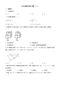 2022年山东省泰安市岱岳区中考二模数学试题(word版含答案)