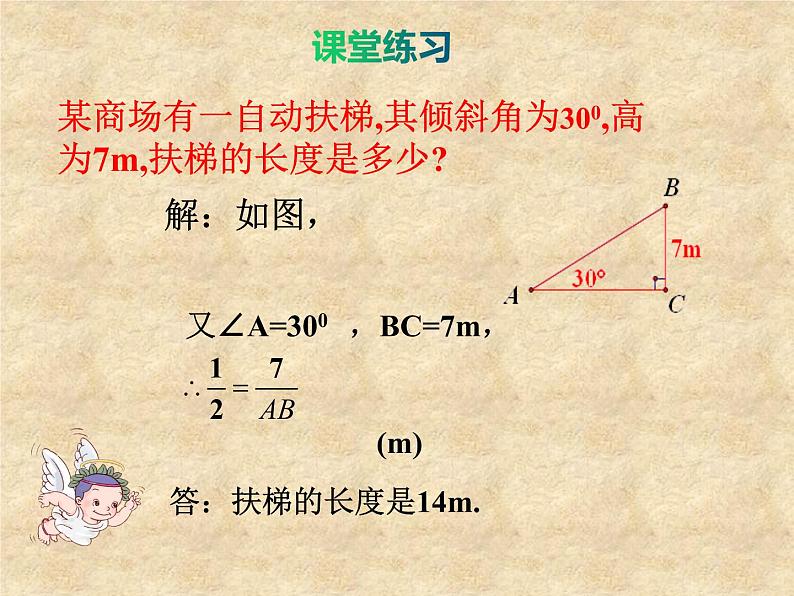 鲁教版(五四制)数学九年级上册 第二章 2.2 30°,45°,60°的三角函数值 课件07
