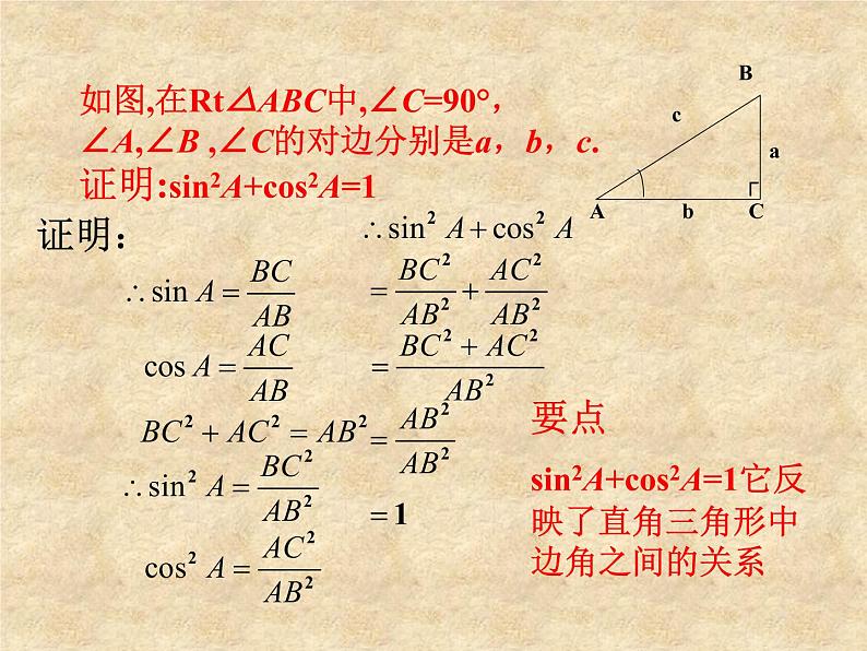 鲁教版(五四制)数学九年级上册 第二章 2.2 30°,45°,60°的三角函数值 课件08