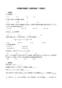 中考数学专题复习《实数与数式 》专项练习  (有答案)