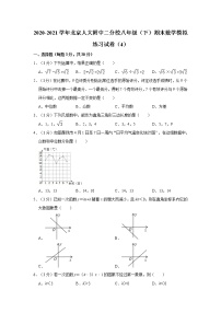 2020-2021学年北京人大附中二分校八年级（下）期末数学模拟练习试卷（4）