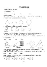 2022年哈尔滨市道里区中考三模数学试题含答案