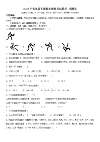 2022年七年级下册期末模拟考试数学 试题卷(一)