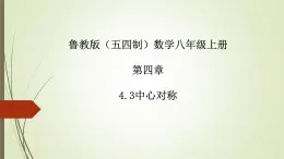 2022-2023学年鲁教版（五四制）数学八年级上册 第四章 4.3中心对称 课件