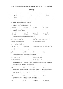 2021-2022学年湖南省永州市新田县七年级（下）期中数学试卷（含解析）