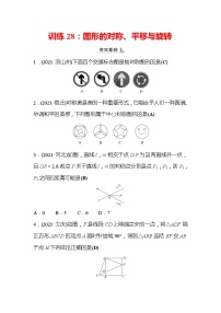 2022年浙江省中考数学复习训练28：图形的对称、平移与旋转(含答案)