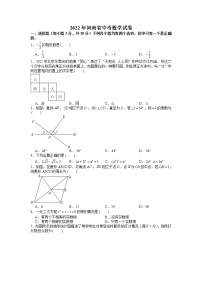 2022年河南省中考数学试卷