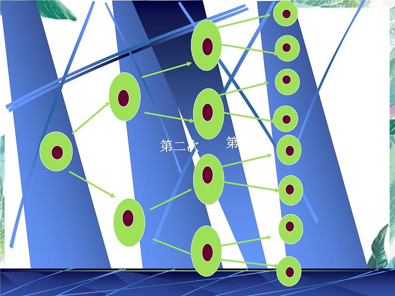 人教版 七年级数学上册 有理数的乘方 课件第4页