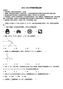 2022届濮阳市重点中学初中数学毕业考试模拟冲刺卷含解析